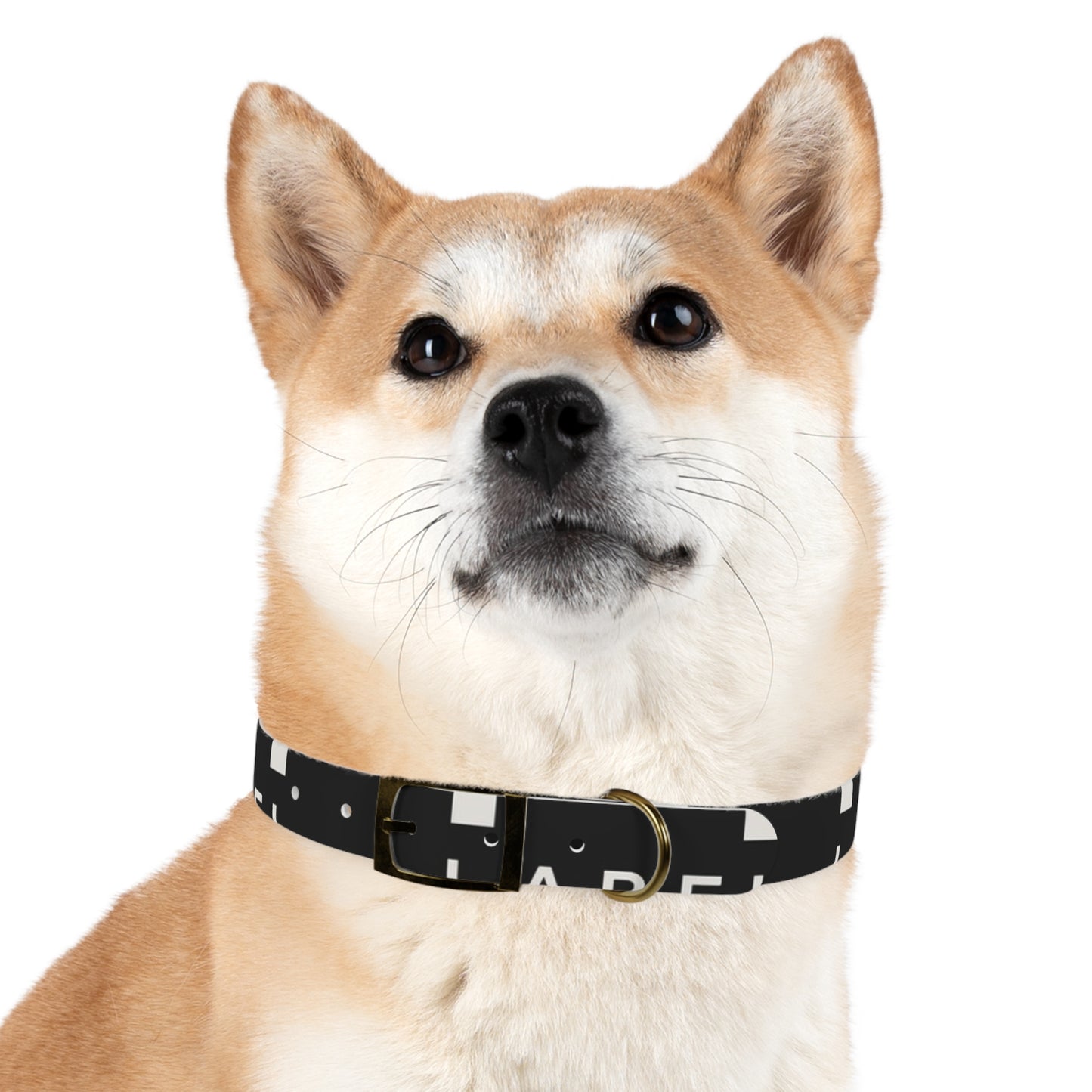 LABEL — Dog Collar