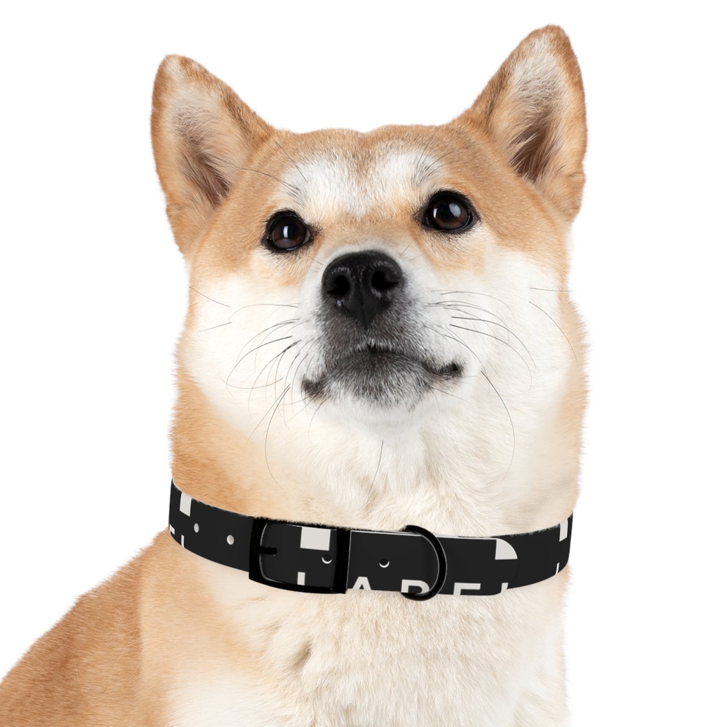 LABEL — Dog Collar