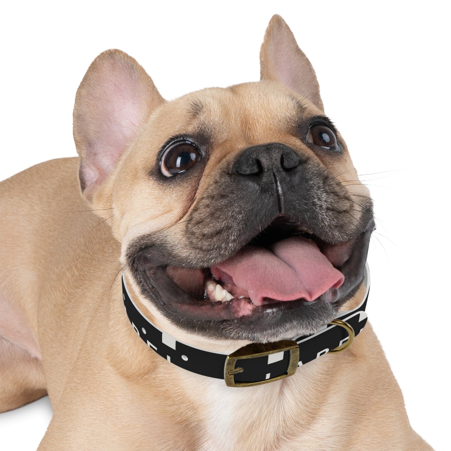 LABEL — Dog Collar