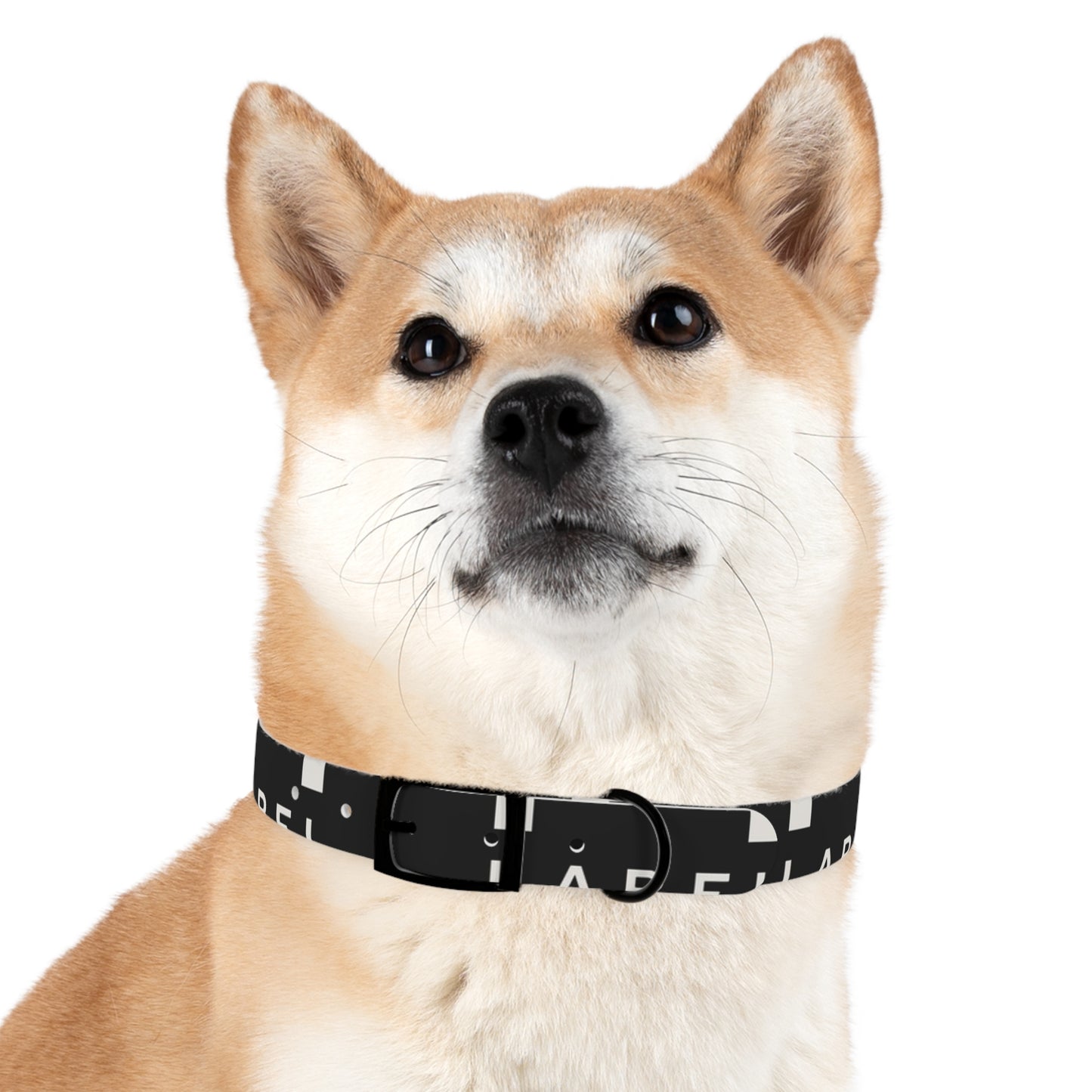 LABEL — Dog Collar