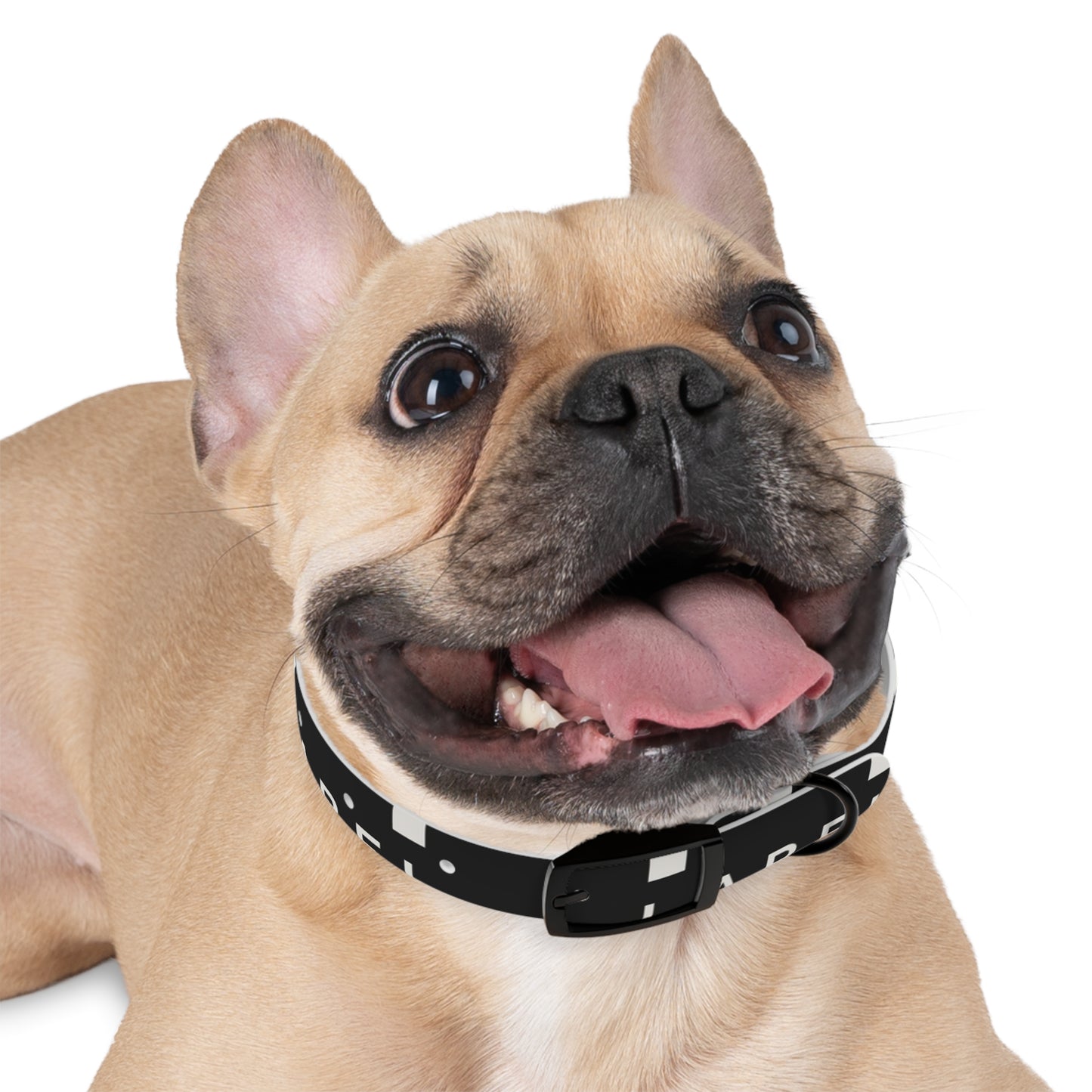 LABEL — Dog Collar